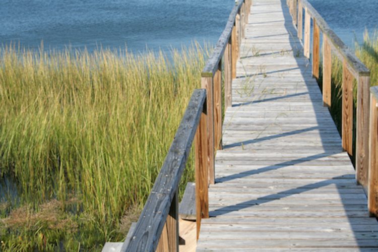 bridge